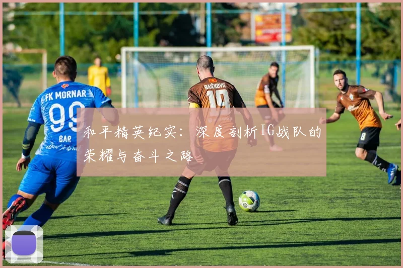 和平精英纪实:深度剖析IG战队的荣耀与奋斗之路