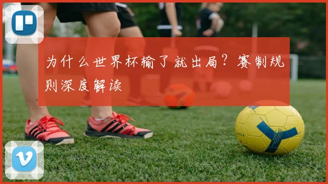 为什么世界杯输了就出局？赛制规则深度解读