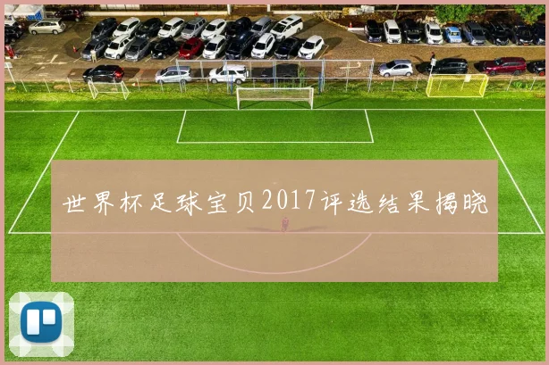 世界杯足球宝贝2017评选结果揭晓